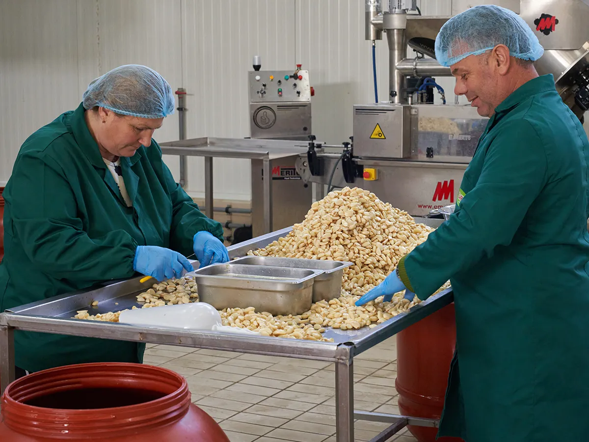 Διαδικασία παραγωγής