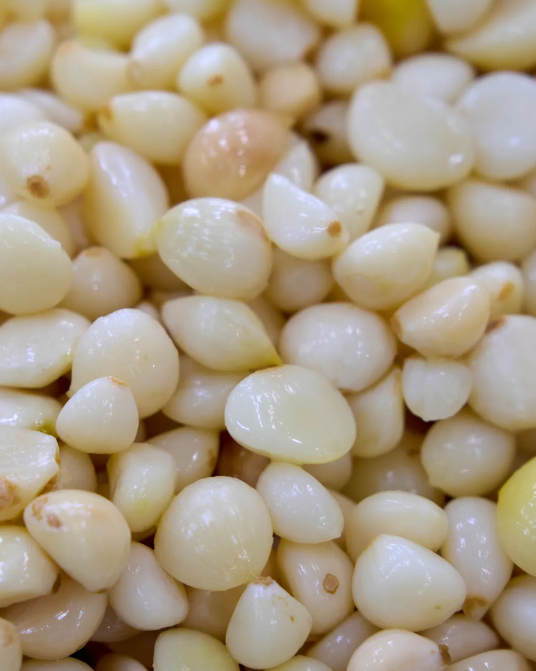 Σκελίδες σκόρδου στις εγκαταστάσεις παραγωγής