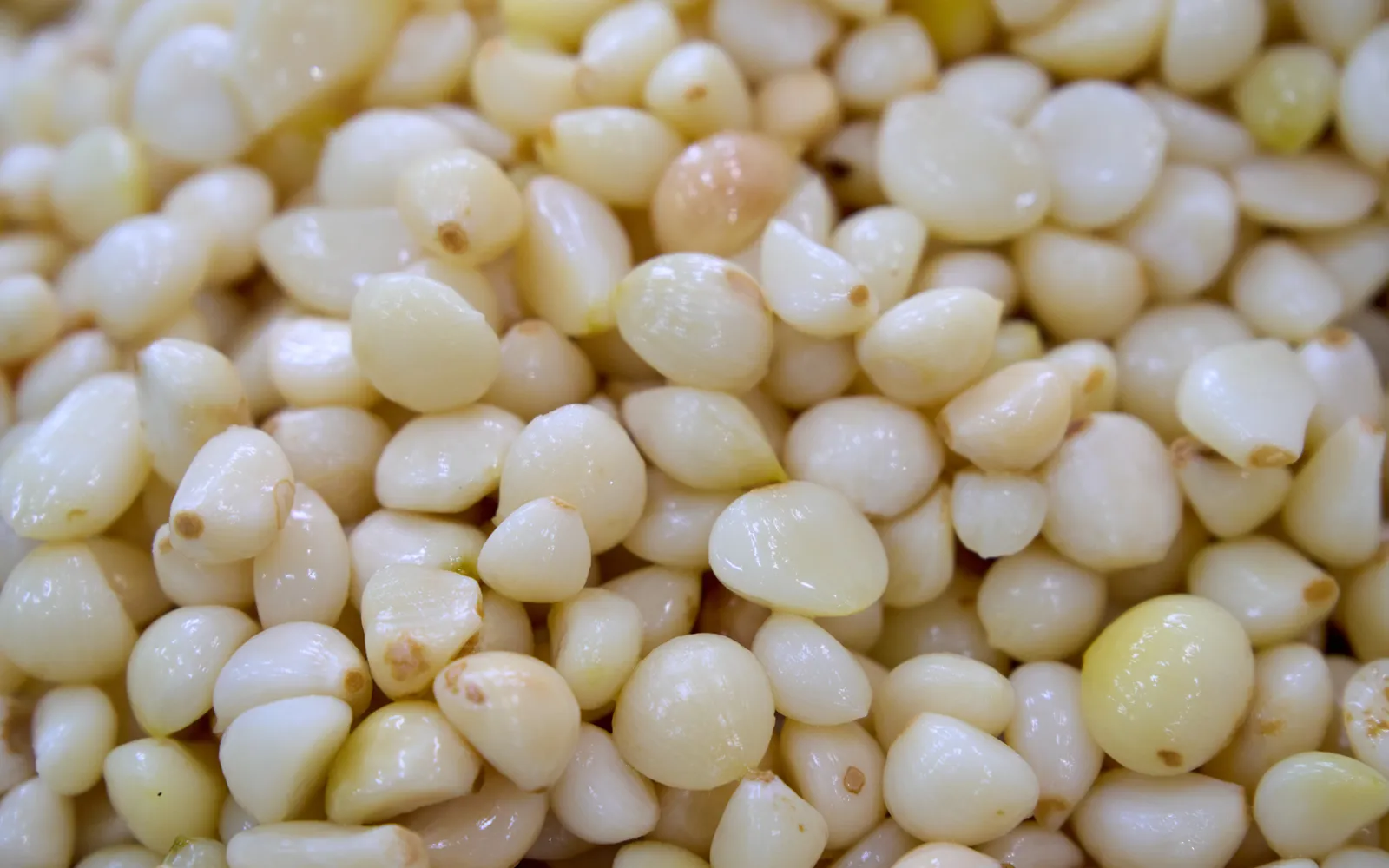 Σκελίδες σκόρδου στις εγκαταστάσεις παραγωγής