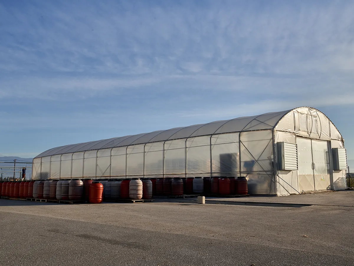 Το θερμοκήπιο της Campus